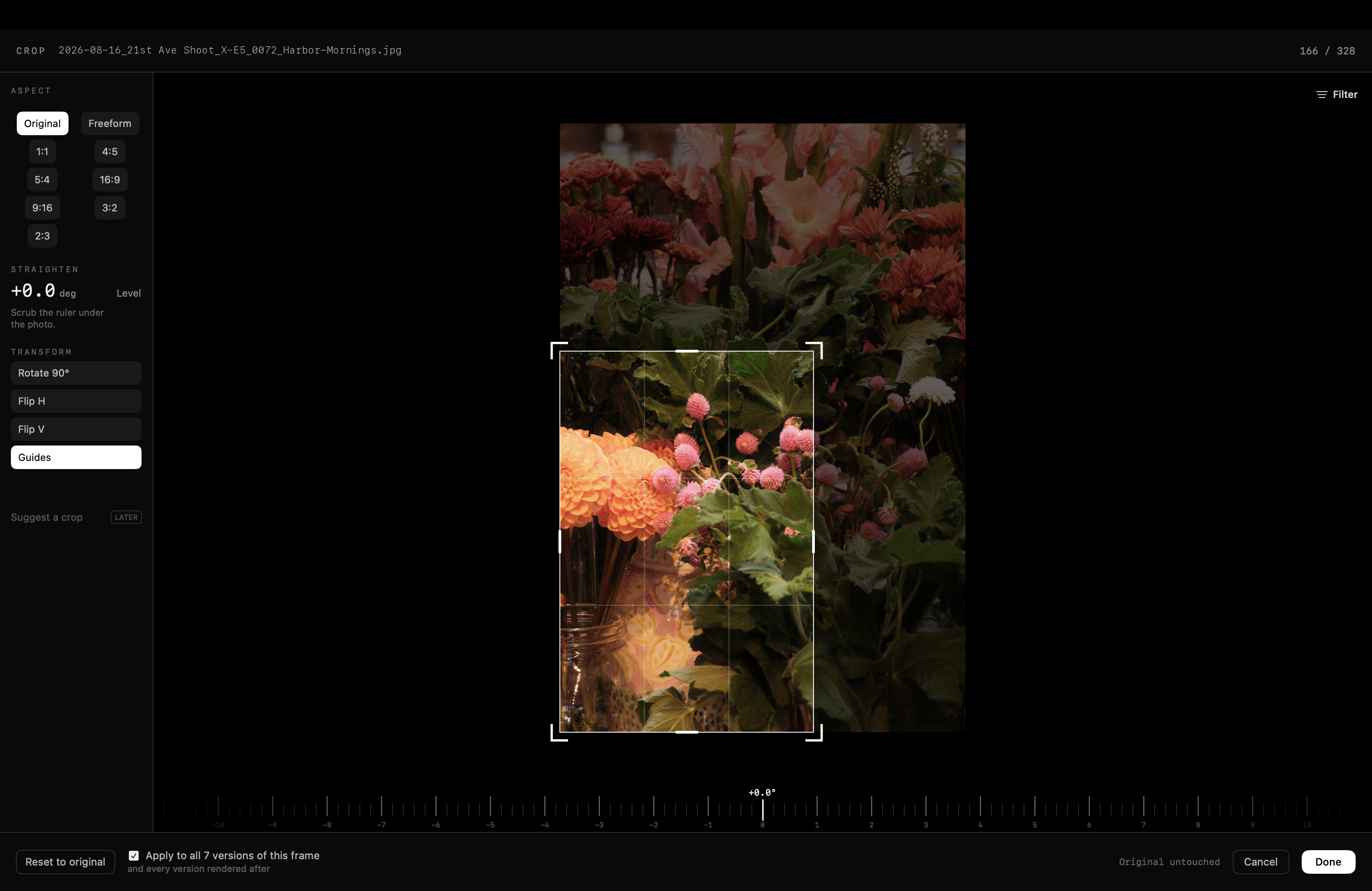The crop studio, with the straighten ruler.