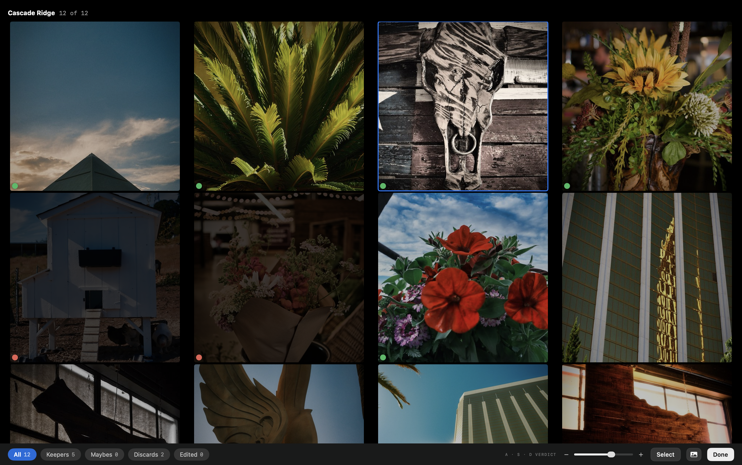 The contact-sheet grid.